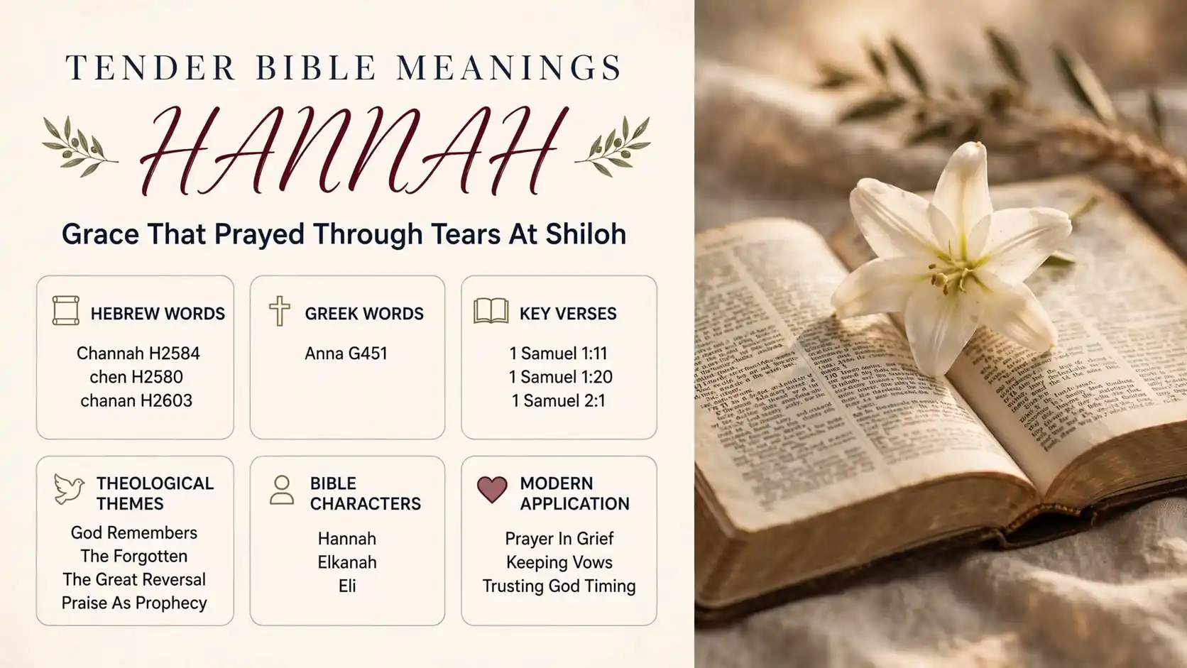 What Does Hannah Mean In The Bible What Does Hannah Mean In The Bible